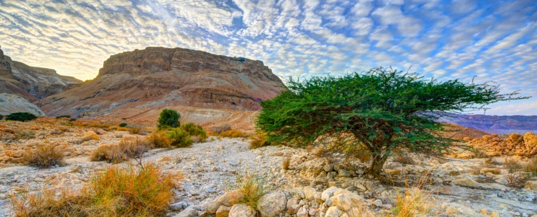 Masada Jerusalén