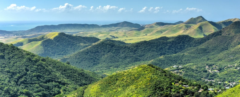 Bosque Nacional El Yunque + Bahías bioluminiscentes