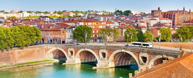 Puente de Toulouse y Pont Neuf sobre el río Garona