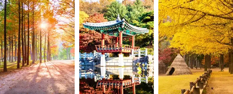 Nami Island vs Garden of Morning Calm