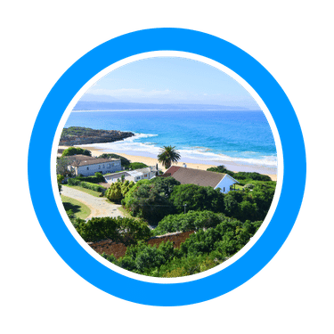 Plettenberg Bay Sea Lion Tour Plettenberg Bay