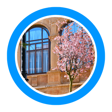 Free Tour por Soria Free Tour por Soria